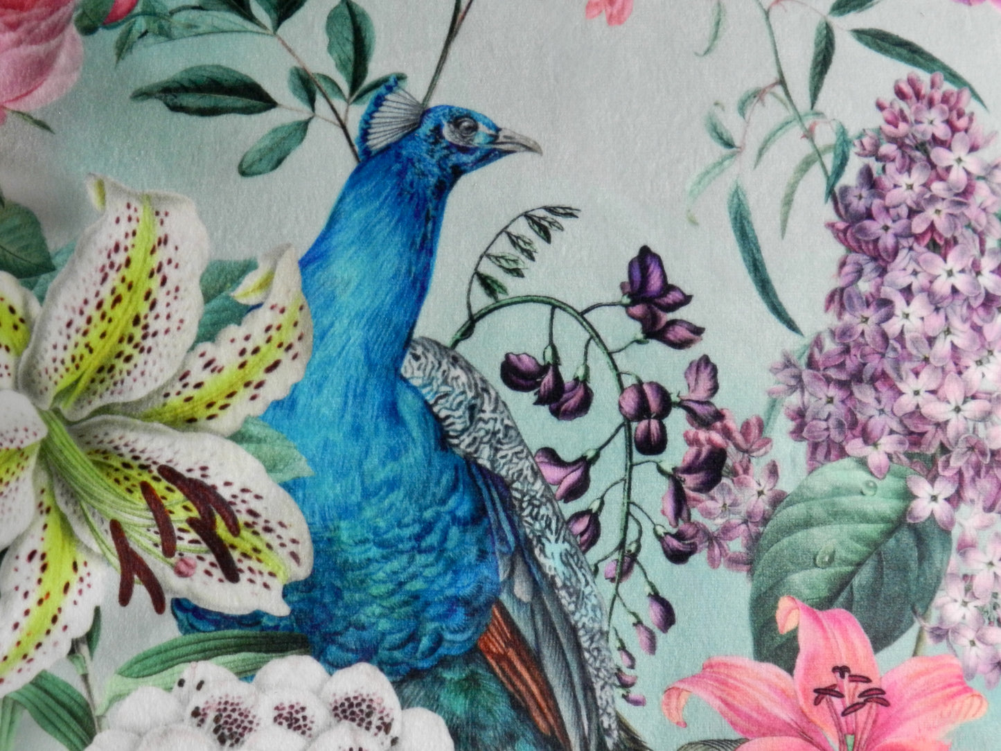Whimsical Velvet Peacock Cushion Cover - Peacock Floral Design - Eclectic Style - Throw Cushions